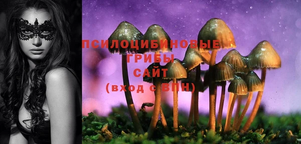 крисы Верхнеуральск