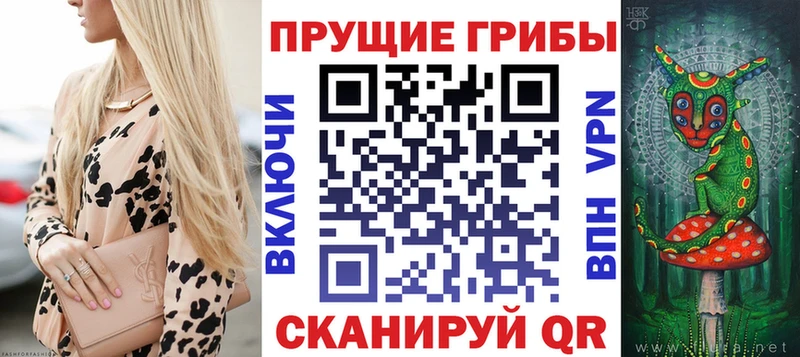 Псилоцибиновые грибы мухоморы  Владимир 