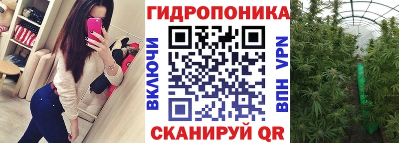 Бошки Шишки конопля  наркота  Владимир 